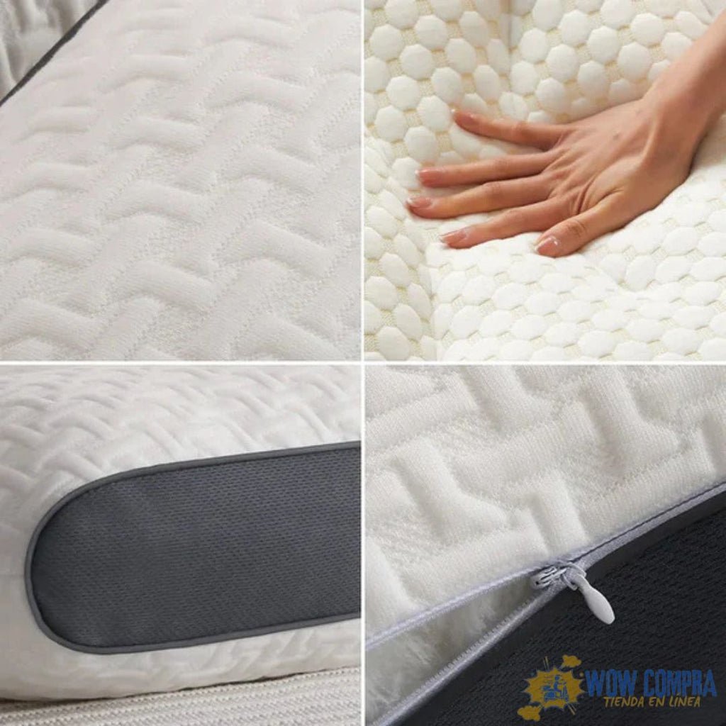 3_0fbbdcea-daf5-4b08-9342-78b5235236d3_1024x